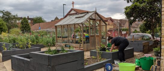 community garden with green house in center