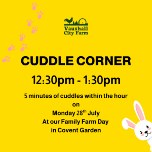 Cuddle Corner: 12:30pm - 1:30pm