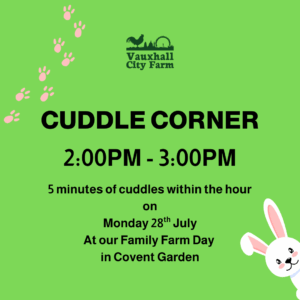 Cuddle Corner: 2:00pm - 3:00pm