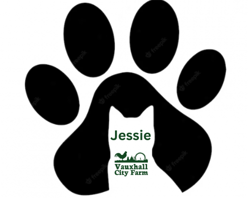 Jessie Jessie